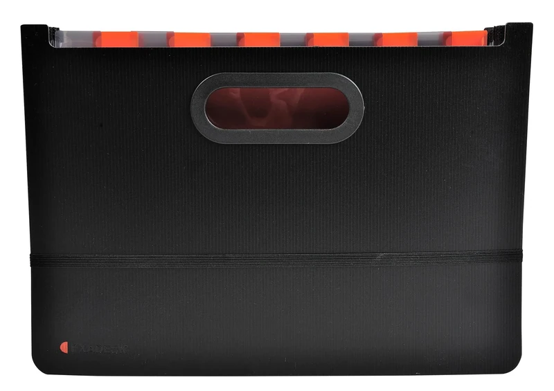 Exacompta - Ref 58934E - Box of 4 Exadesk Expandable case folders - Made of Rigid Polypropylene - Two-Tone Interior - Capacity up to 800 Sheets - tabs with Label Holders - 24 compartments - Black