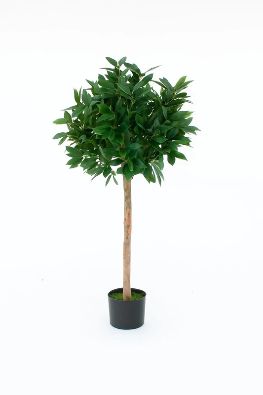 Artificial Bay Trees, Topiary Faux Tree, Premium Quality Real Wood Trunk and Natural Appearance Leaves and Brown Berries, UV Protected, Indoor and Outdoor Use
