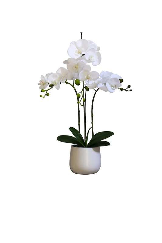 Elegant Large Triple Stem White Real Touch Artificial Potted Orchid (65cm) in Round White Ceramic Pot