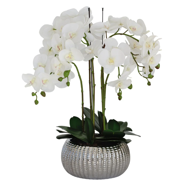 GreenBrokers Elegant Large Six Stem Butterfly White Real Touch Artificial Potted Orchid (65cm) In Decorative Silver Ceramic Pot