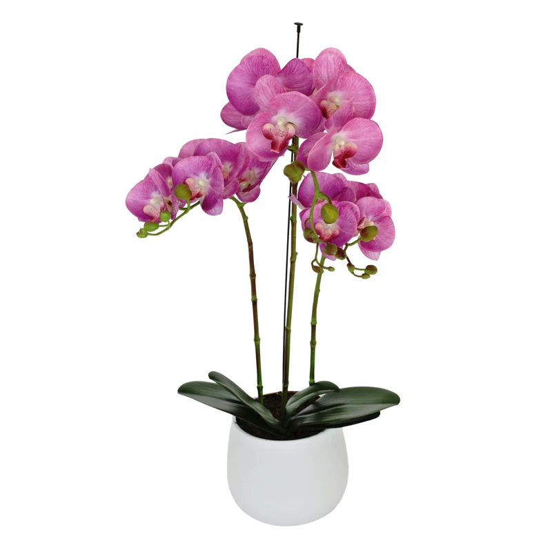 Elegant Large Triple Stem Purple Real Touch Artificial Potted Orchid (65cm) in Round White Ceramic Pot