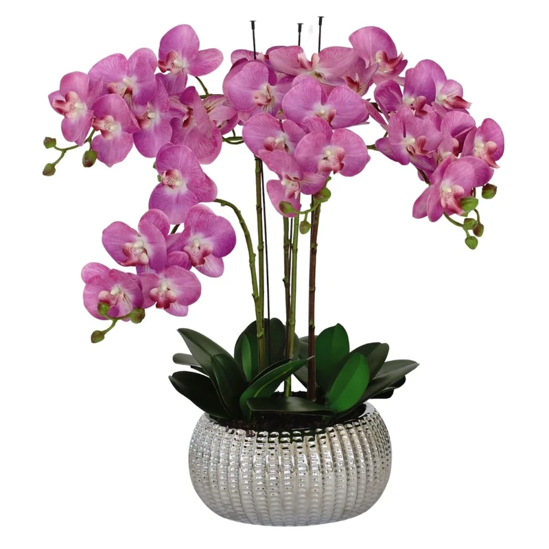 GreenBrokers Elegant Large Six Stem Butterfly Purple Real Touch Artificial Potted Orchid (65cm) In Decorative Silver Ceramic Pot