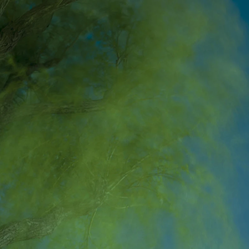 Into The Darkness Of The Night [Vinyl LP] [VINYL]