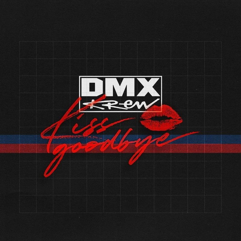 Kiss Goodbye [VINYL]