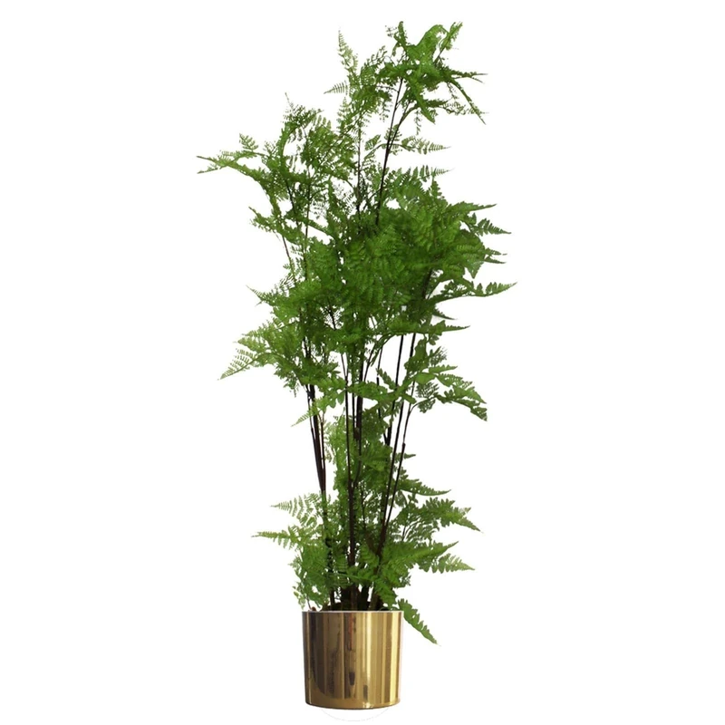 Botanik Premium Artificial Fern Grass