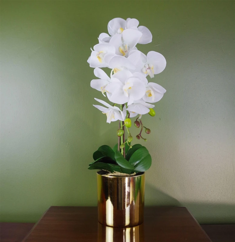 Botanik Realistic Artificial Orchid Plants Fully Potted