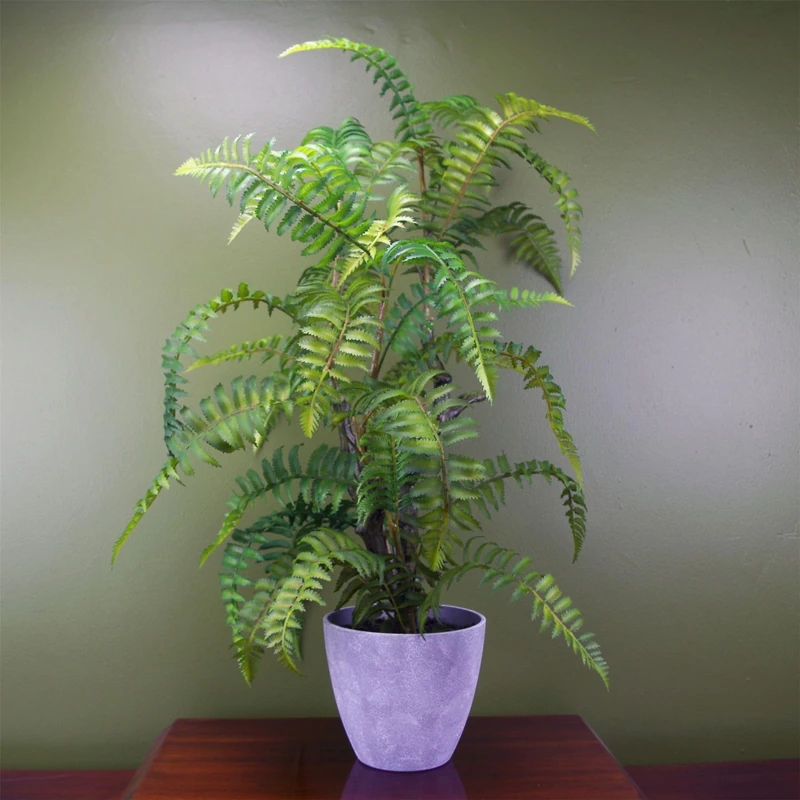 Botanik Premium Artificial Fern Grass - Image 1