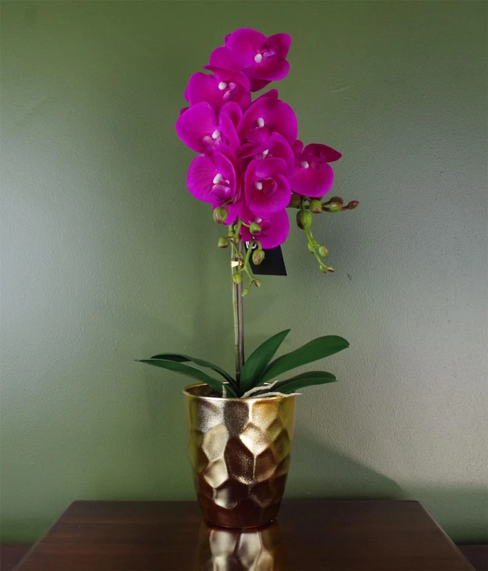 Realistic Artificial Orchid Plants Fully Potted
