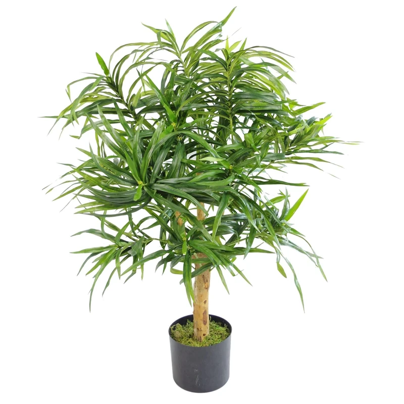 Botanik Artificial Office Plants