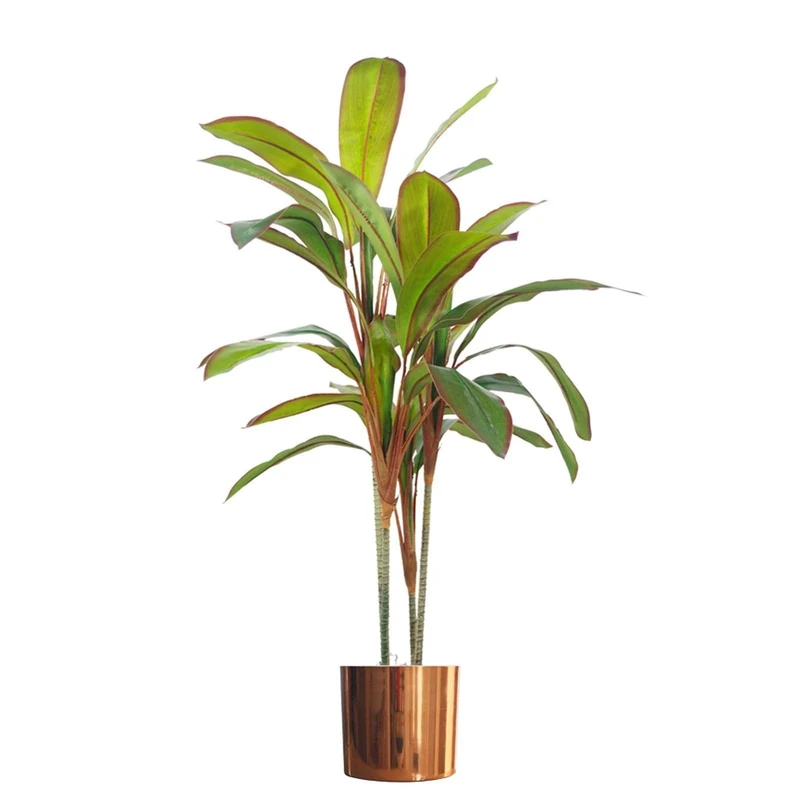 Botanik Artificial Office Plants
