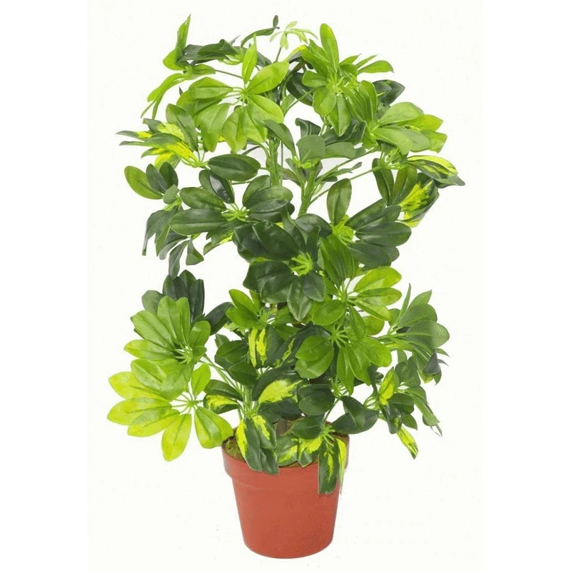 Botanik Artificial Office Plants