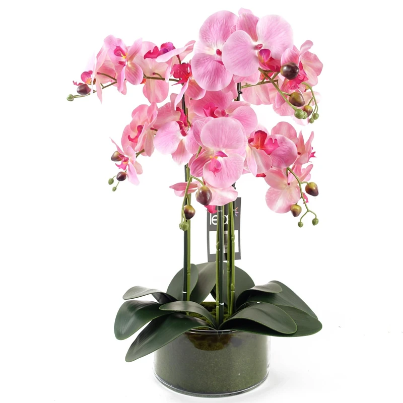 Realistic Artificial Orchid Plants Fully Potted