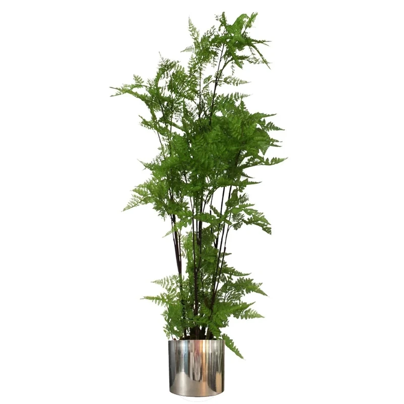 Botanik Premium Artificial Fern Grass