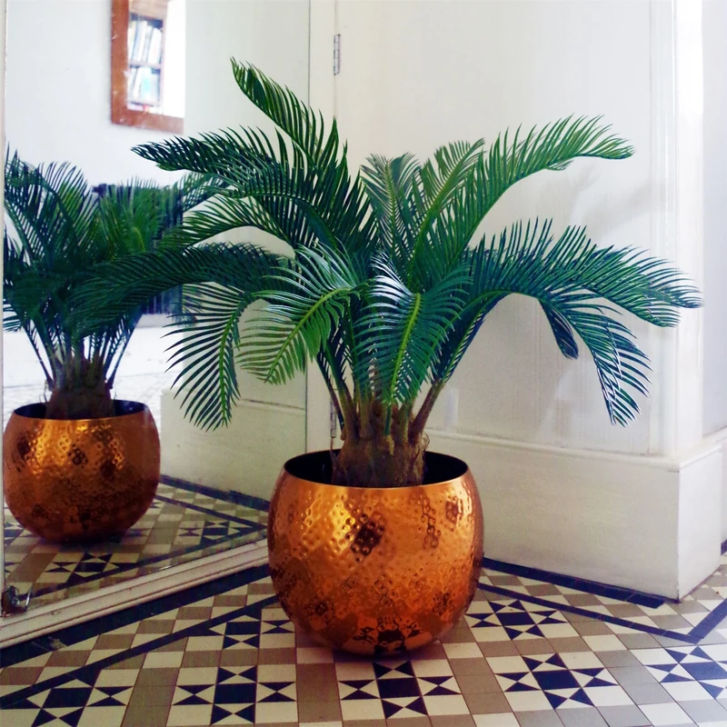 Botanik Realistic Potted Artificial Palm and Tropical Trees - Ready to Display