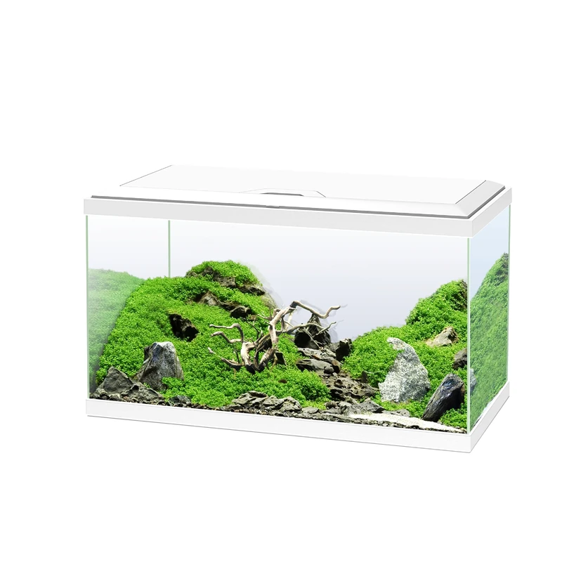 Ciano, Aquarium 60 White, for Fish, Equipped with Filter, Consumables, LED and Heating, 58L, Reinforced Packaging for Web Sending