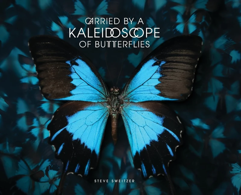 Carried by a Kaleidoscope of Butterflies
