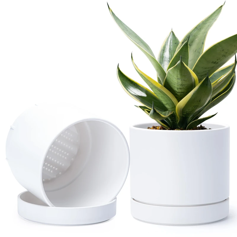 Phoenix Vine 8 Inch Planter Pot with Drainage Hole & Saucer, Deep Water Catch Tray, Straight Cylindrical Round Pot for Plants, Matte White, Pack of 2, 23-B-T-2