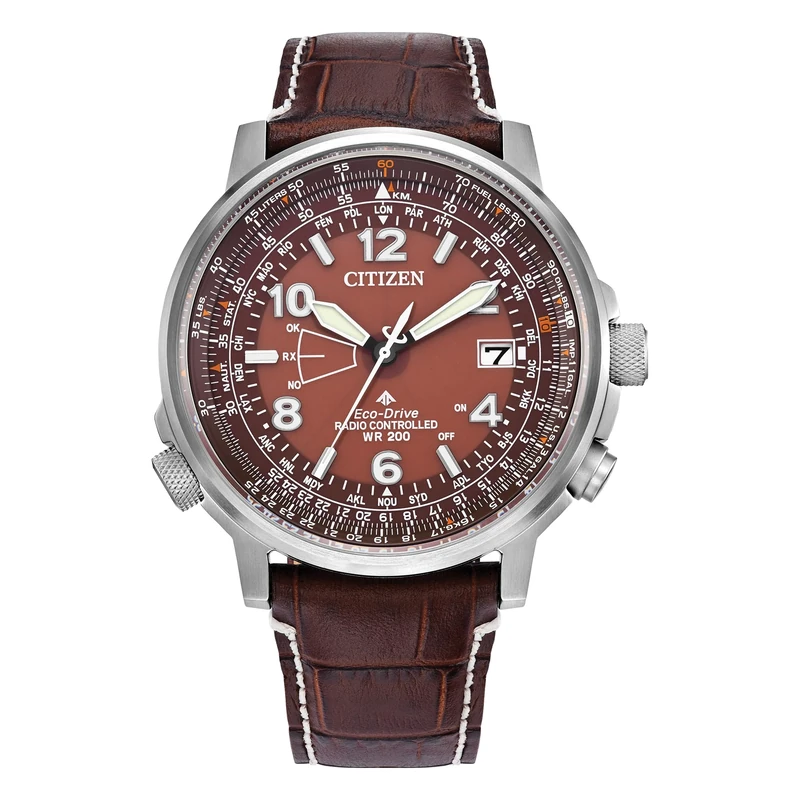 Citizen Gents Eco-Drive World Perpetual A.T