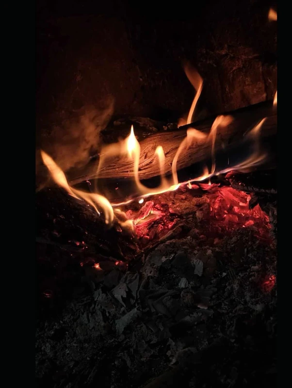 Todas las llamas encuentran vida en el fuego: Un estudio del libro de los Hechos Primera parte: capítulos 1-12 - Image 1