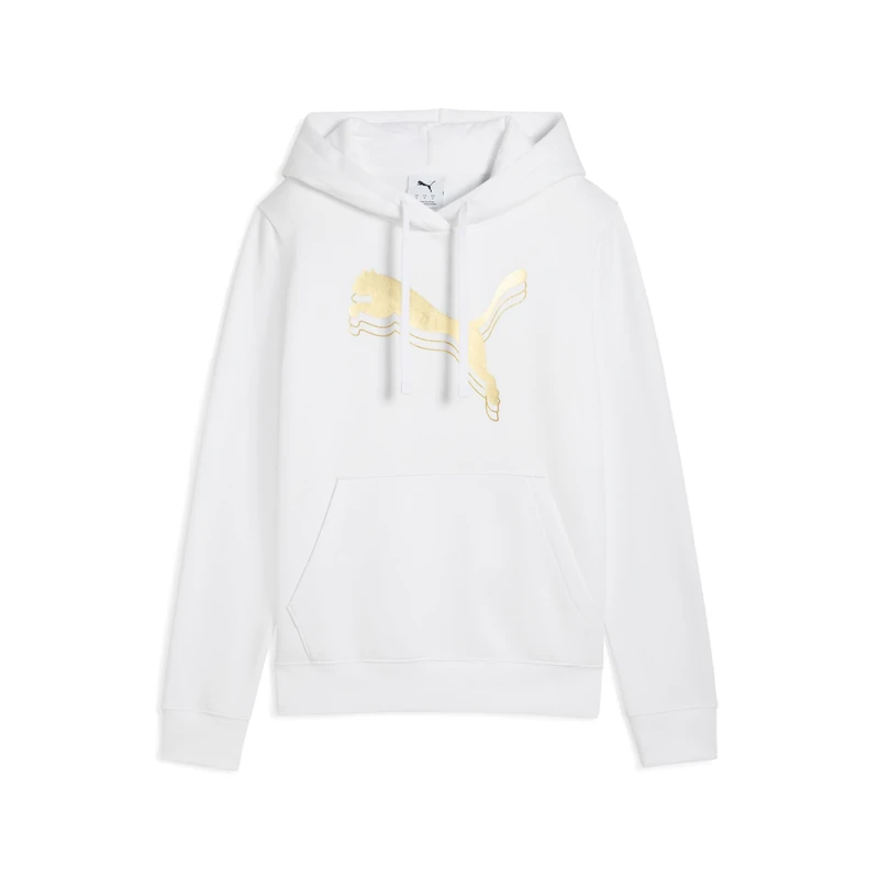 ESS METALLIC Hoodie FL