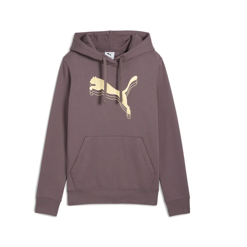 ESS METALLIC Hoodie FL
