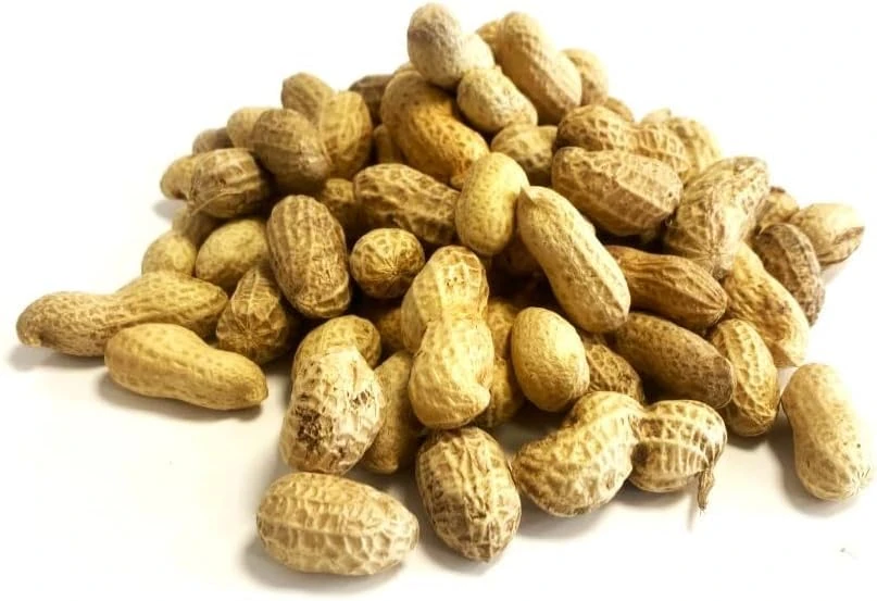 10 Litre Refill Bag Peanuts in Shells Premium Safe Wild Bird Food Monkey Nuts Afflotoxin Free (Weight 3kg/approx. 10L)