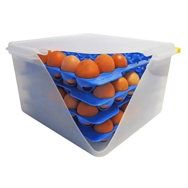 Araven Airtight Container Polypropylene - with 4 Egg Trays GN 2/3 200mm