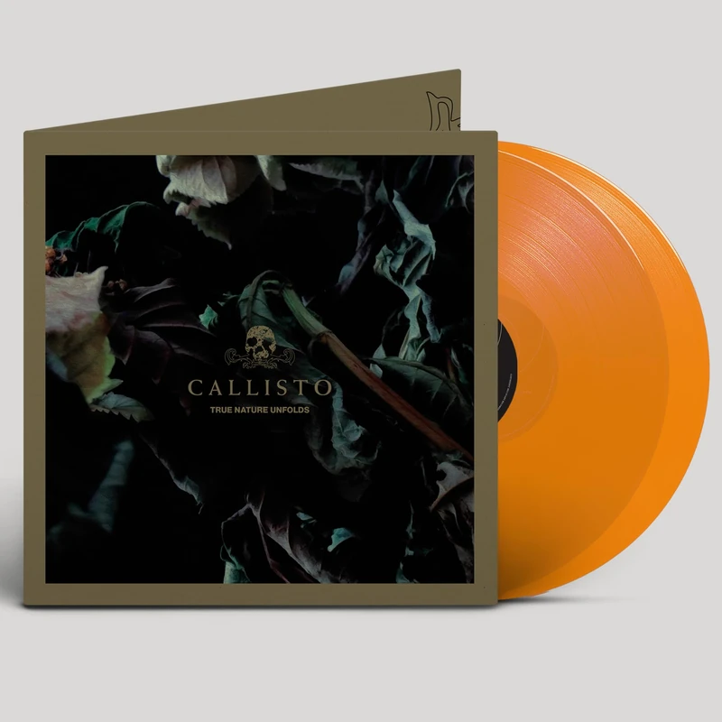 True Nature Unfolds [VINYL]