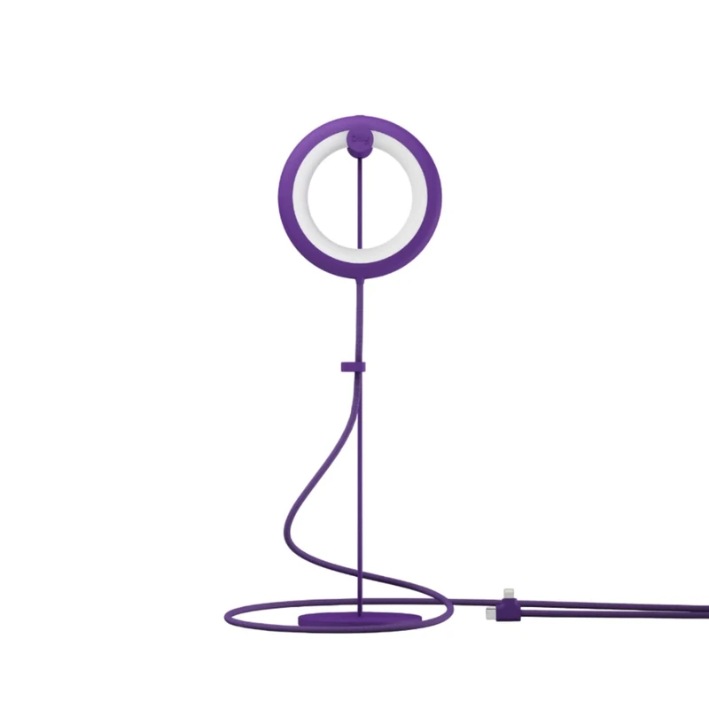 BILY Portable LED Reading Light with Perch, USB Socket with 3 Lighting Modes, for PC Laptop and Smartphone (Purple)
