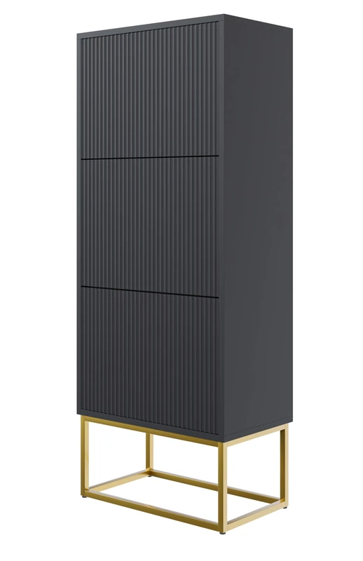 Selsey Veldio Shoe Rack 50 cm 3 Flaps Shoe Cabinet 12 Pairs Shoes Storage Standing Black Golden Legs