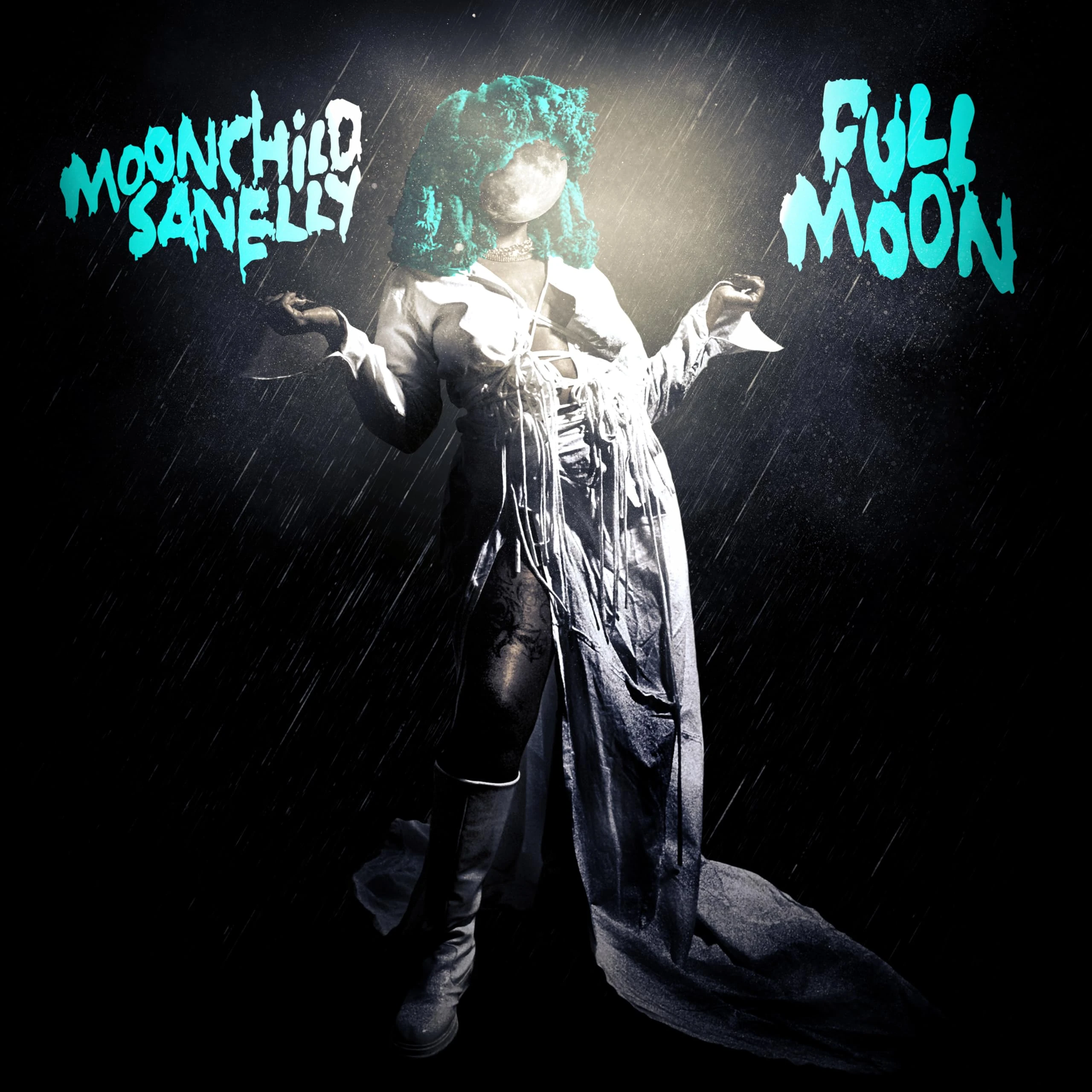 Full Moon [VINYL]