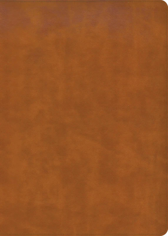 CSB Women's Study Bible, Saddle Brown Genuine Leather: Christian Standard Bible, Saddle Brown Genuine Leather, Indexed