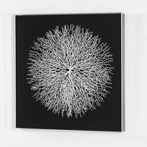 CUADRO 90X8X90 Transparent Acrylic