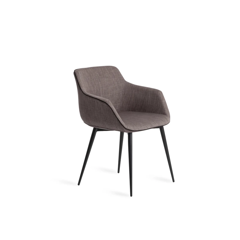 AlexandreHouse Dining Chair with Armrests and Steel Legs