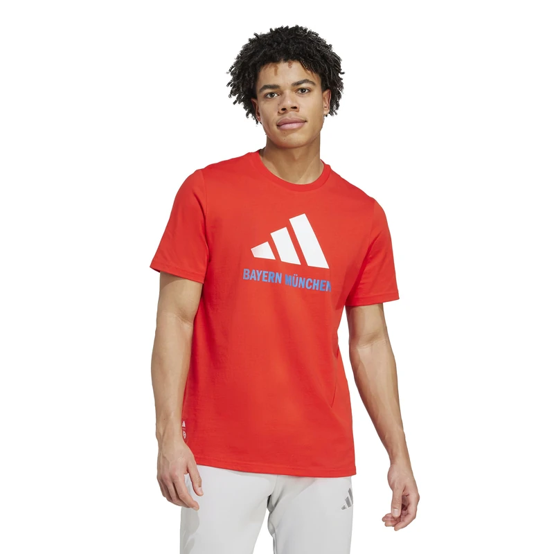 adidas Men's Fc Bayern Munich Seasonal Graphic T-Shirt, Red/White, XXL