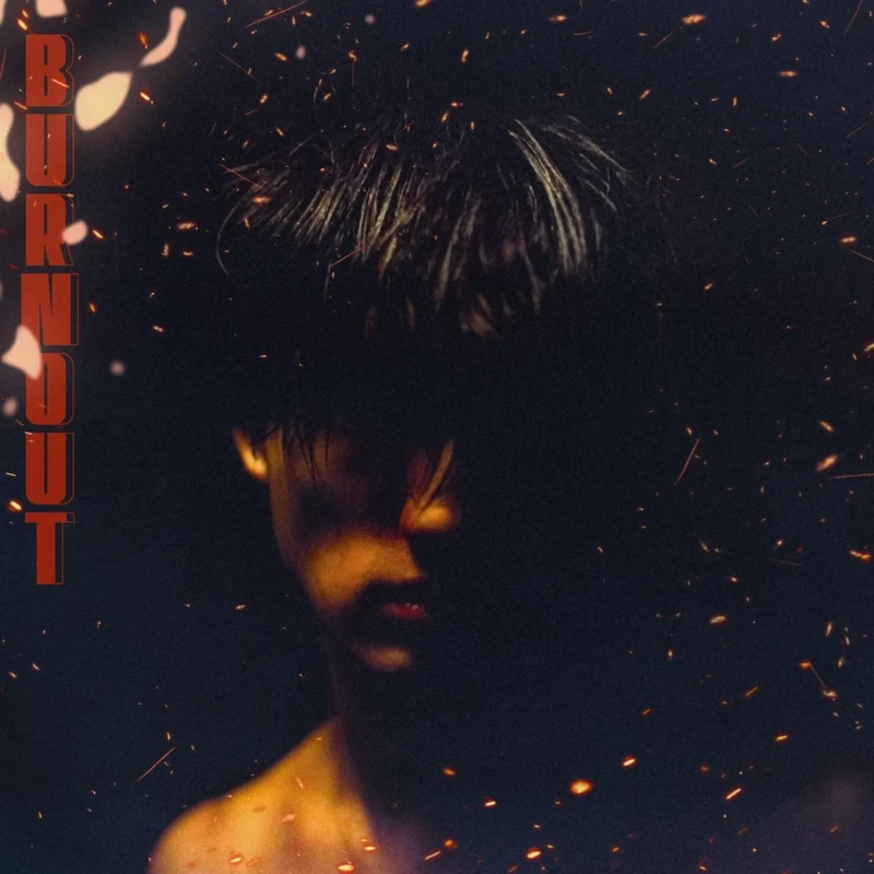 Burnout [Vinyl LP] [VINYL]