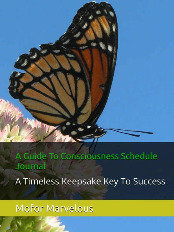 A Guide To Consciousness Schedule Journal: A Timeless Keepsake Key To Success