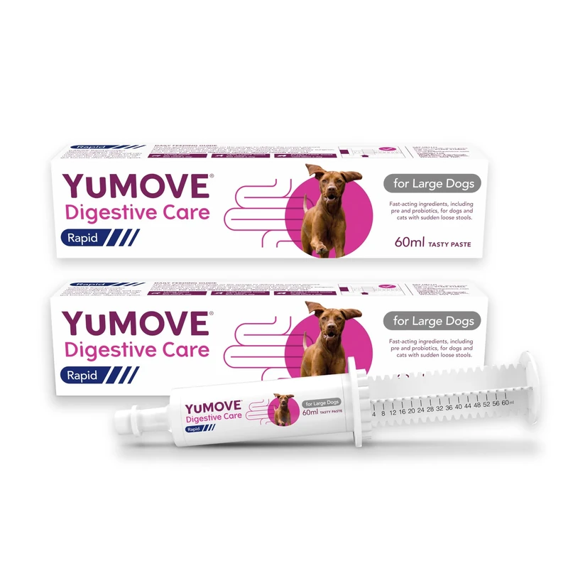 YuMOVE Digestive Care Rapid, Dog Pre and Probiotic Paste for Gut Health, Digestive Supplements with Fast-Acting Ingredients for Large Dogs, 2 x60ml