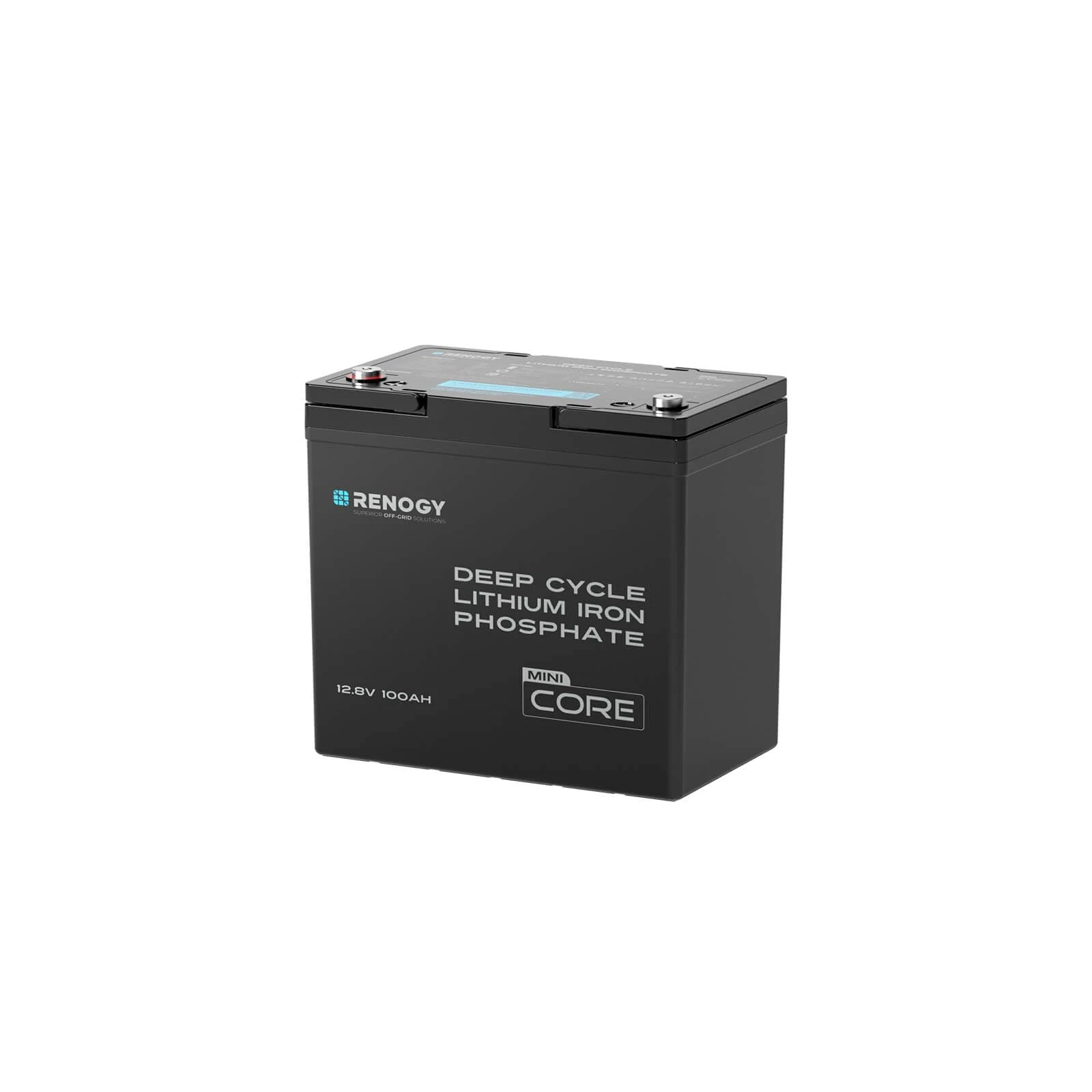 Renogy 100Ah 12V LiFePO4 Battery, Mini Size Lithium Iron Phosphate Leisure Battery with 5000+ Deep Cycles, IP 65 and BMS Protection, Support 4S4P Connection for Caravan, Boat, and Off Grid System