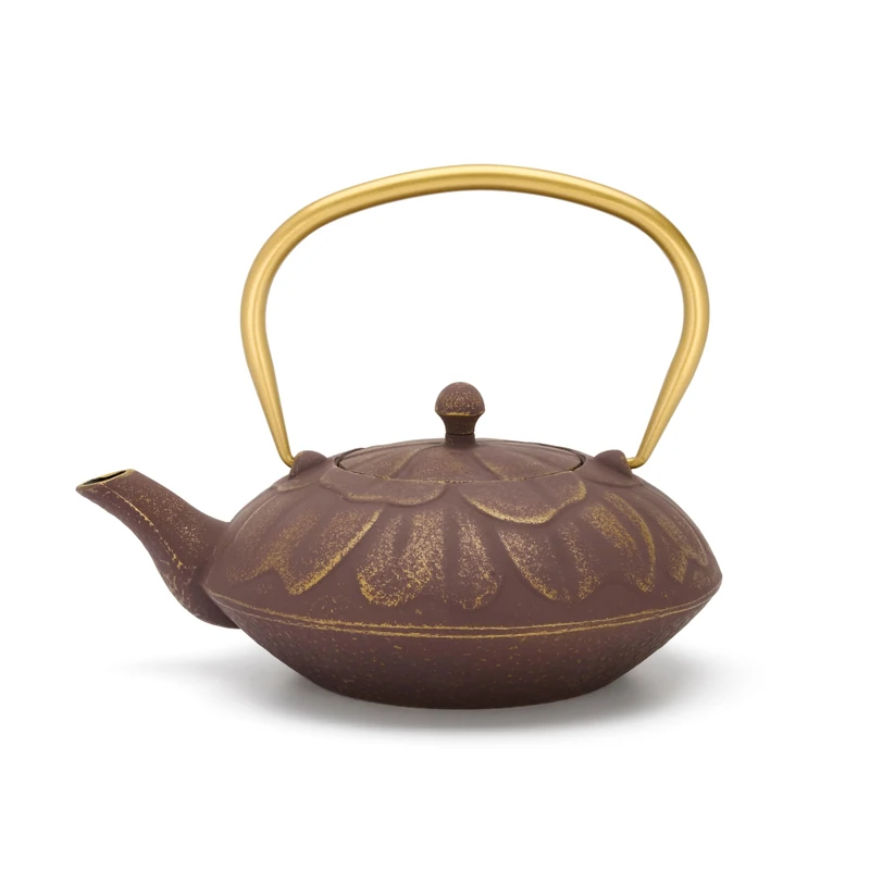 Cast Iron Jug 1.3 Litre Induction – Large Asia Teapot Made of Cast Iron Purple with Gold-Coloured Handle & Stainless Steel Tea Filter Strainer Insert – Ideal for Loose Teas