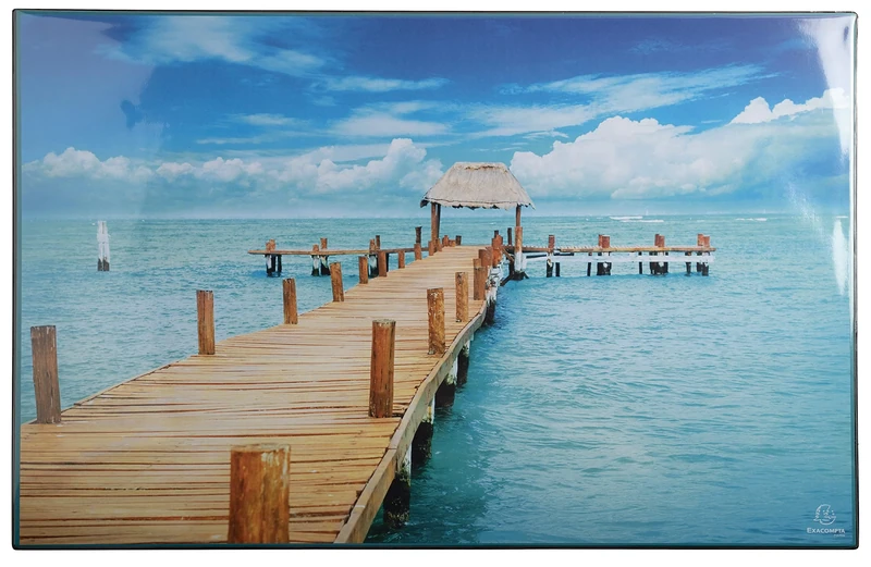 Exacompta - Ref 29794E - Box of 10 Desk Pads Made of Rigid Cardboard Embedded - Mouse pad - PVC Front and Back to Withstand Daily use - 37.5x57.5cm - Sea Visual - Delivered Flat Packed