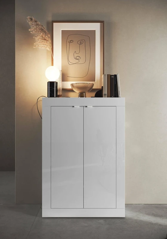 Dmora Endine Multi-Purpose Wardrobe with 2 Doors, Multifunctional Furniture, Shoe Cabinet, Shoe Cabinet, Made in Italy, 78 x 35 x 113 cm, White