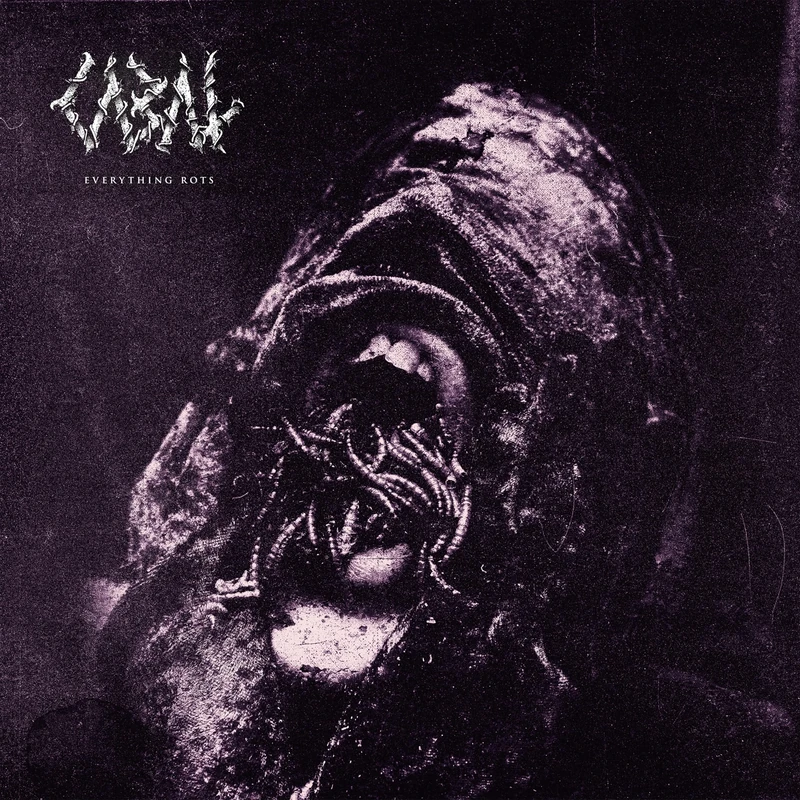 Everything Rots [Explicit]