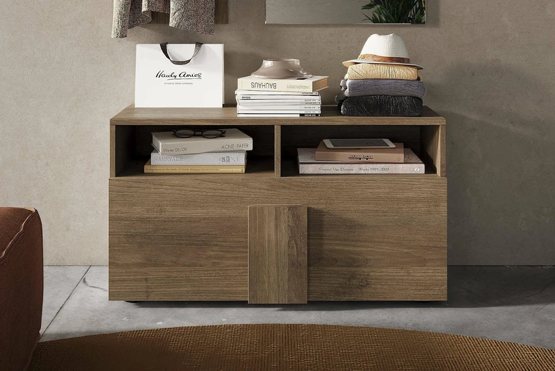 Dmora Bracciano Shoe Rack, Multi-Purpose Entrance Cabinet, Shoe Cabinet, Made in Italy, 91 x 35 x 57 cm, Oak