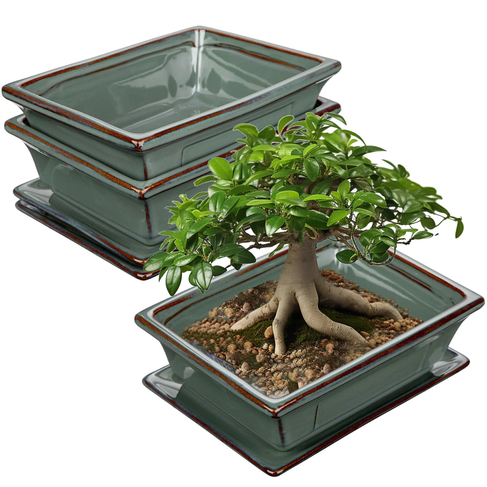 Oairse Set of 2 Bonsai Pots Shallow Succulent Planters for Live Bonsai Trees, 19cm/7.5" Ceramic Plant Pot for Succulents Indoor with Drainage Hole, Outdoor Cactus Plant Pot, Blue Flower Pot