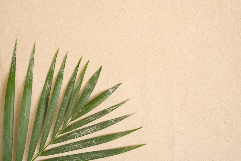 A.S. Création Wallpaper Seaside 3,75 m x 2,50 m - WALLLOVE Wallpaper Nature in Beige, Green incl. Glue - DD129606