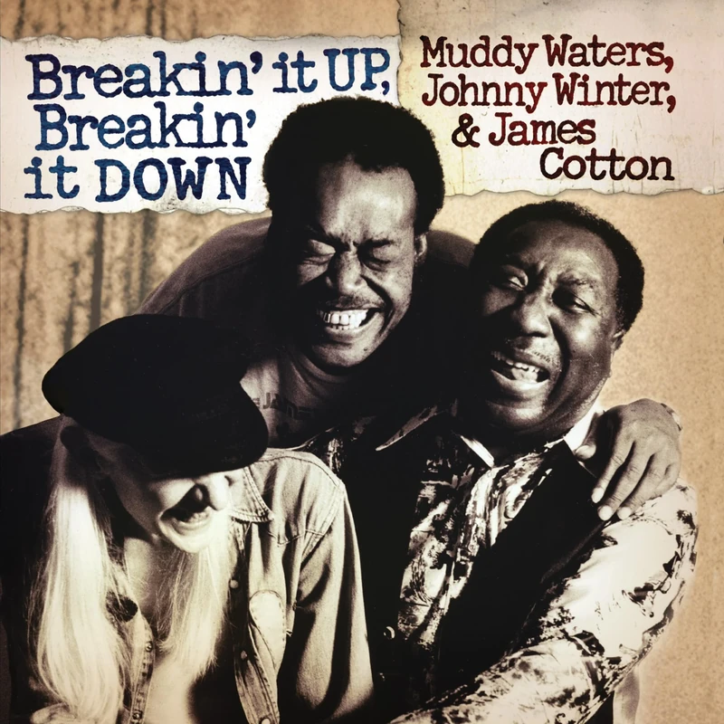 Breakin' It Up Breakin' It Down (180 Gram Clear Gold Audiophile Vinyl/Gatefold Cover/Poster) [Vinyl LP] [VINYL]