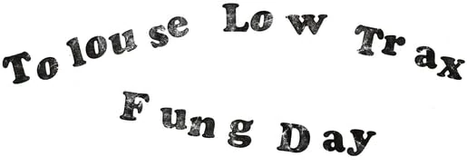 Fung Day [Vinyl LP] [VINYL]