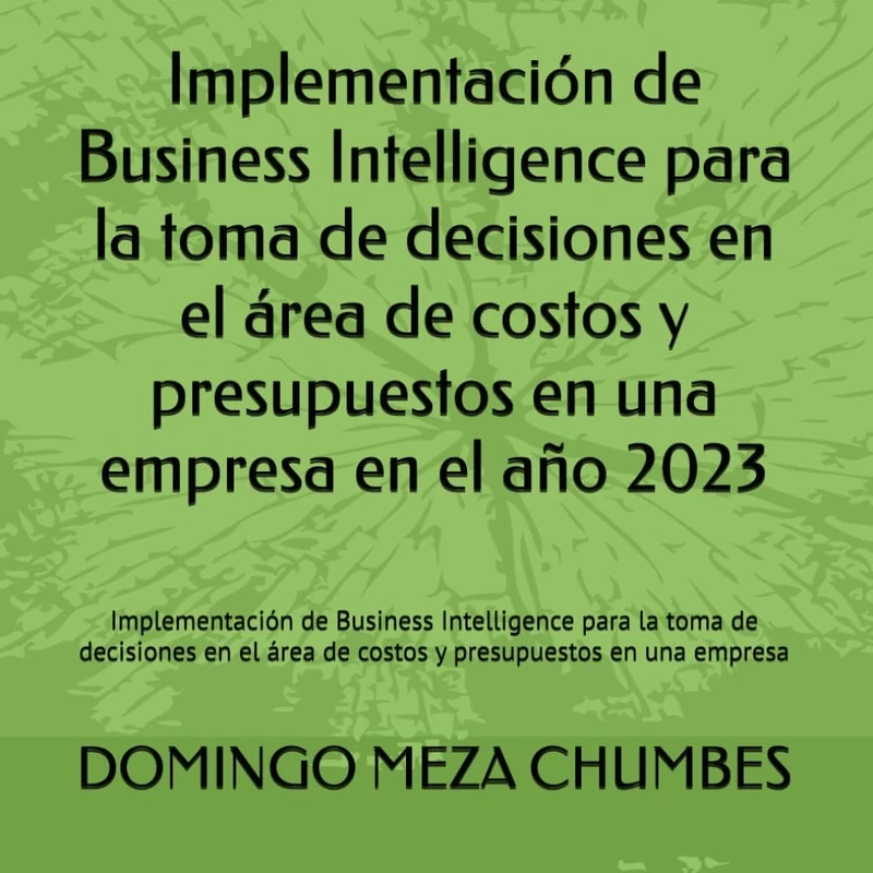 Implementación de Business Intelligence para la toma de decisiones en el área de costos y presupuestos en una empresa en el año 2023: Implementación ... área de costos y presupuestos en una empresa