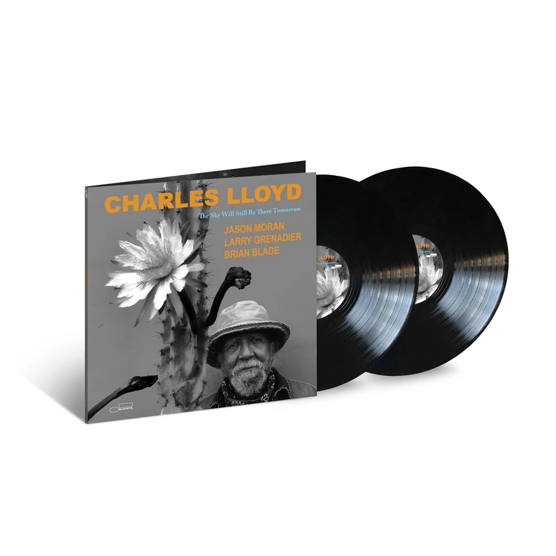 The Sky Will Still Be There Tomorrow [VINYL]